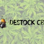 dectock cbd