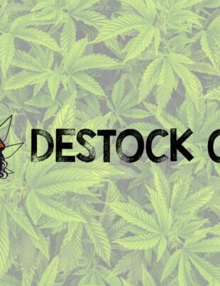 dectock cbd