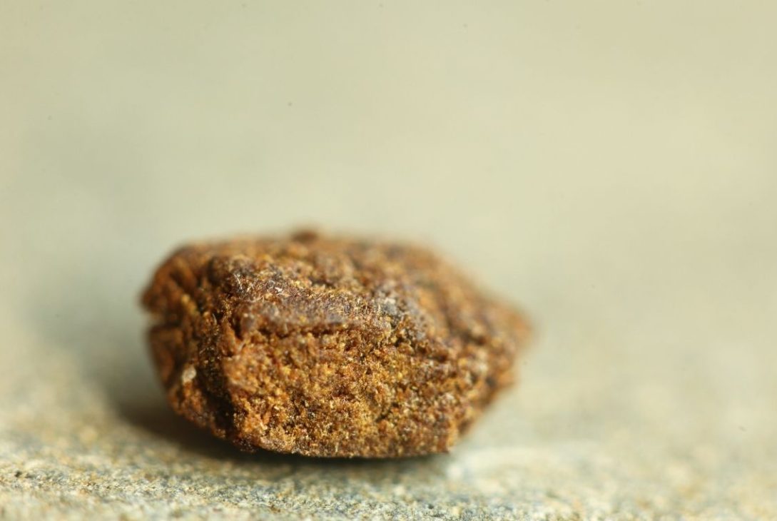 resine cannabis