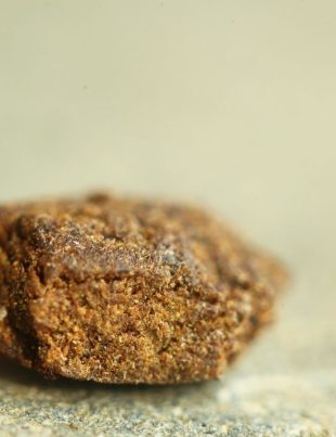 resine cannabis